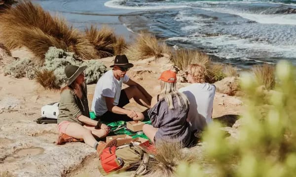 🌊 Clifftop, Bay or Rainforest Guided Hike with Picnic Lunch – Up to 15% Off