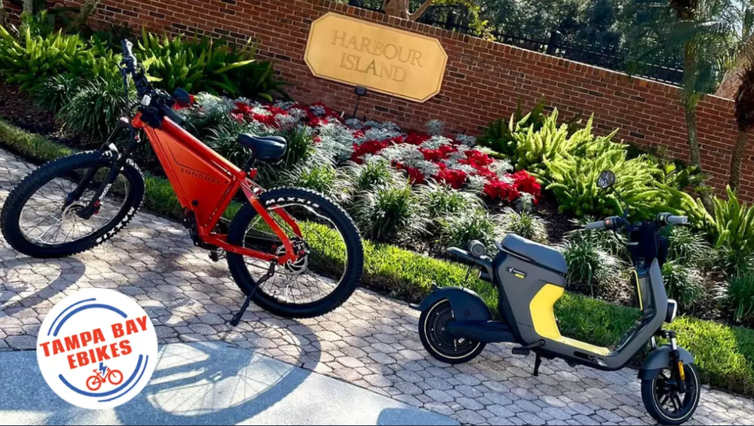 Tampa Bay eBikes Two-Hour Electric Bike Tour – Save Up to 25%