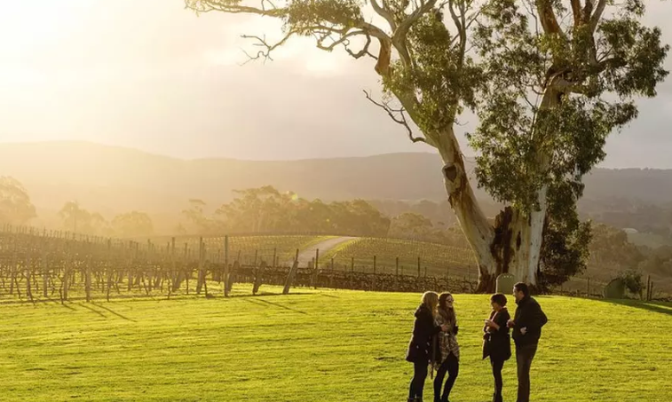 Sip & Explore: Adelaide Hills + Hahndorf Winery Bus Tour