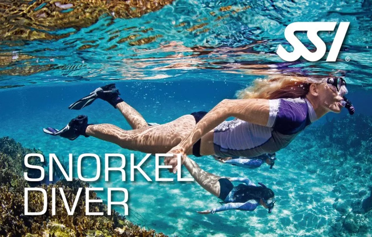 Dive In: Learn Snorkeling Basics with a 60-Minute Lesson – Save Up to 48%