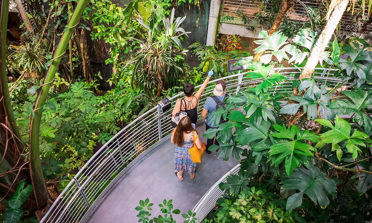 Explore Earth, Ocean & Space: All Access to the Academy in San Francisco