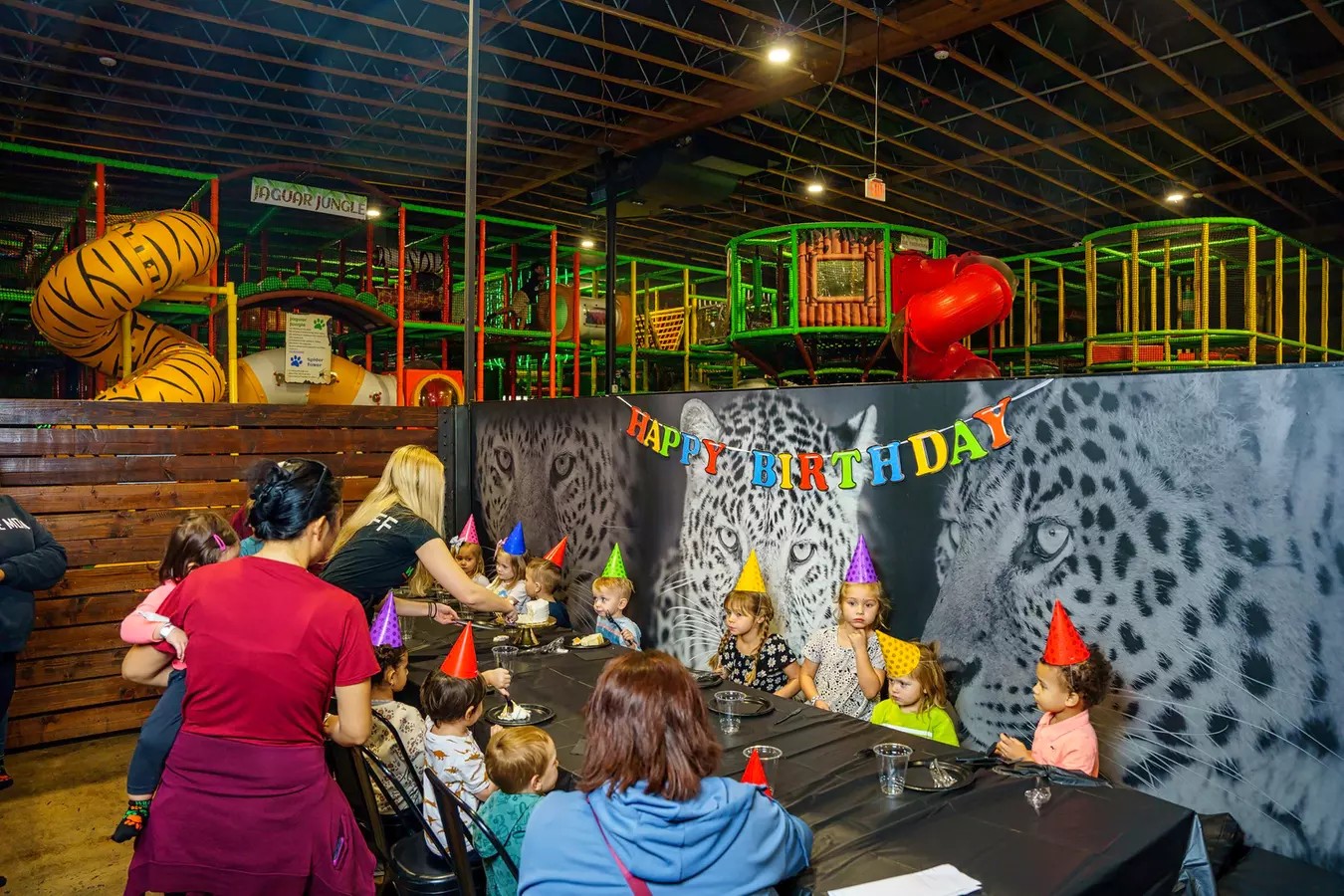 Unlimited Play or Party Packages at Wild Katz Tucson