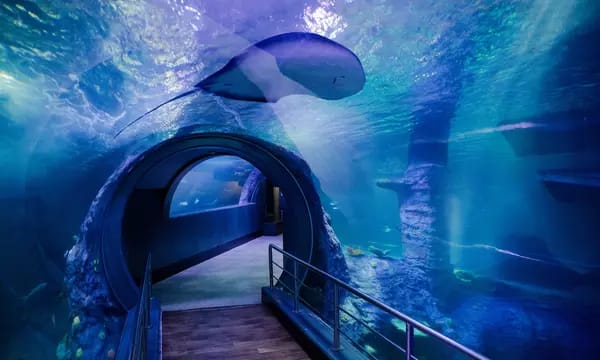 🐧 Melbourne Aquarium General Admission – Sea Life Experience