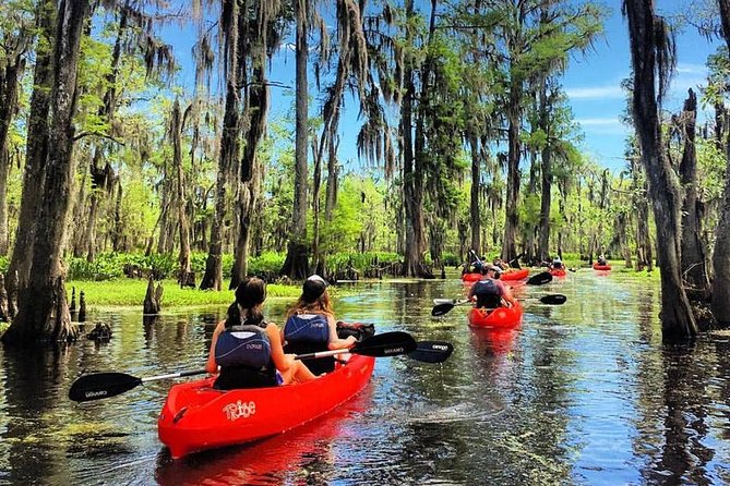 New Orleans Manchac Swamp Guided Kayak Adventure