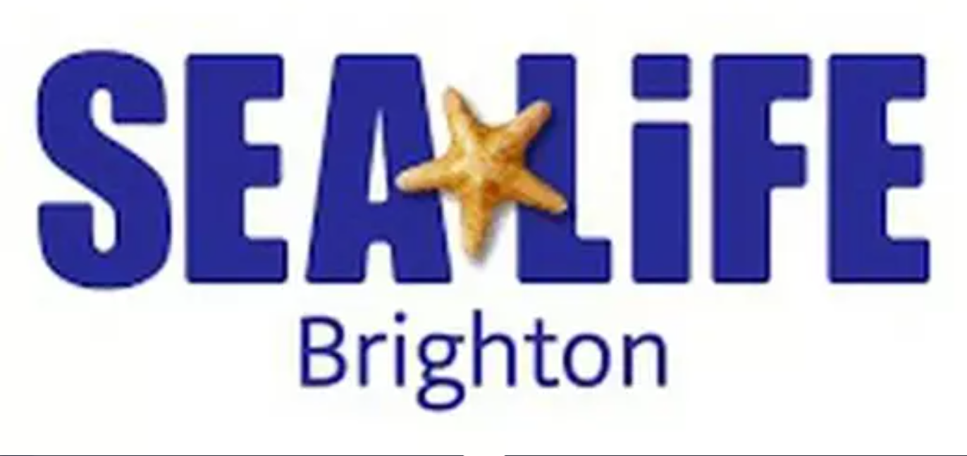 SEA LIFE Brighton Aquarium Tickets – Enjoy Flexible Anytime Entry