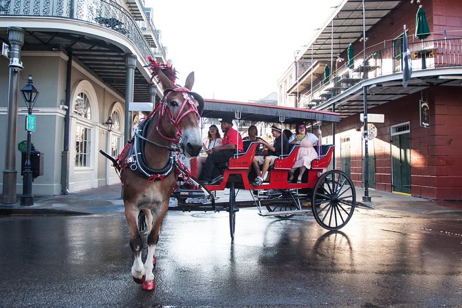 New Orleans French Quarter Carriage Tour