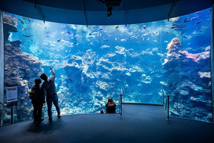 California Academy of Sciences Tickets in San Francisco