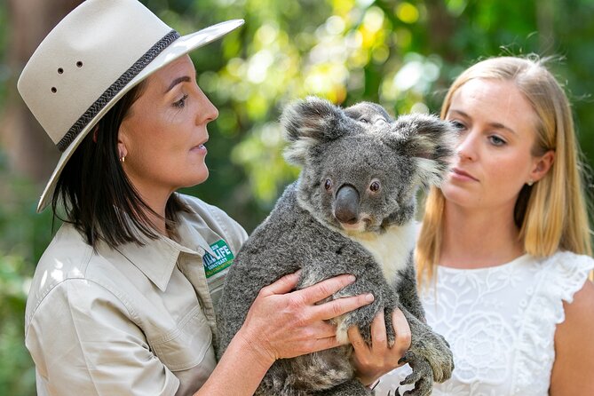 Gold Coast Wildlife Adventure: Currumbin Sanctuary Tickets