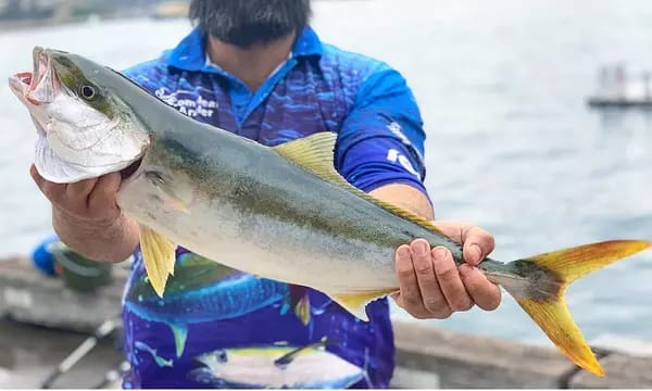 Onshore Fishing Adventure: 3-Hour Guided Experience for 2, 4, or 6 People