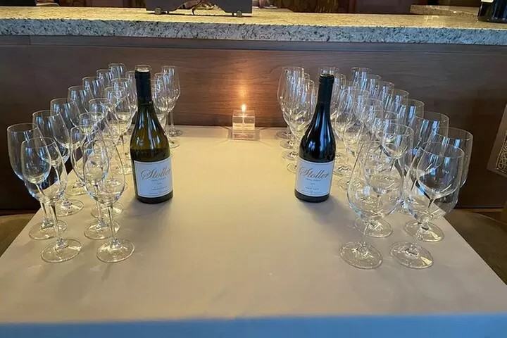 San Francisco Wine Country Tour in Electric VW Van