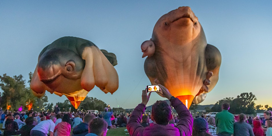 Skywhales Across Australia: Red Hill launch