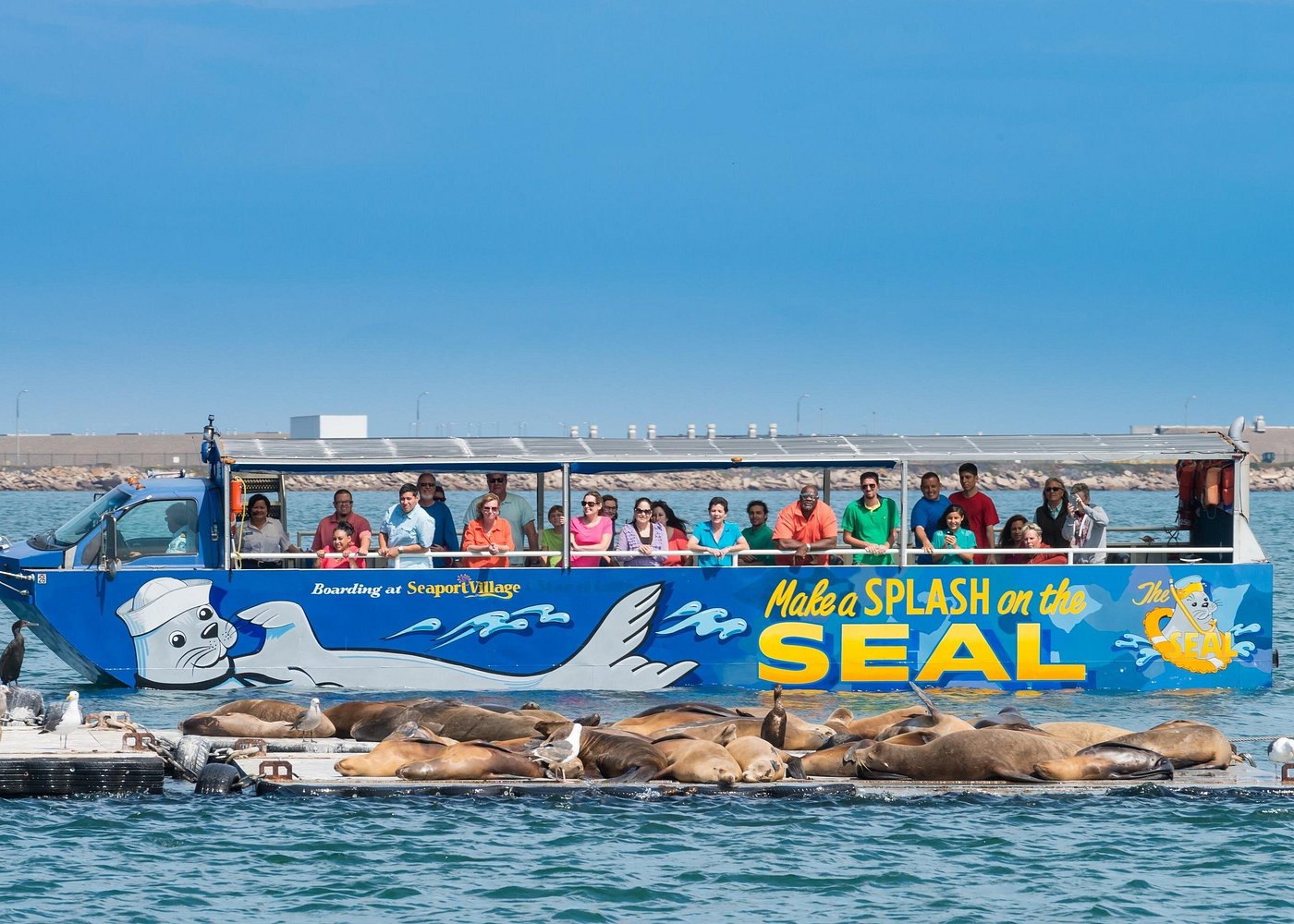 San Diego Seal Tour