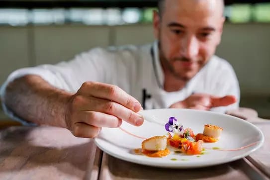 Luxury Penfolds Dinner Cruise on Sydney Harbour – Gourmet Gold Experience