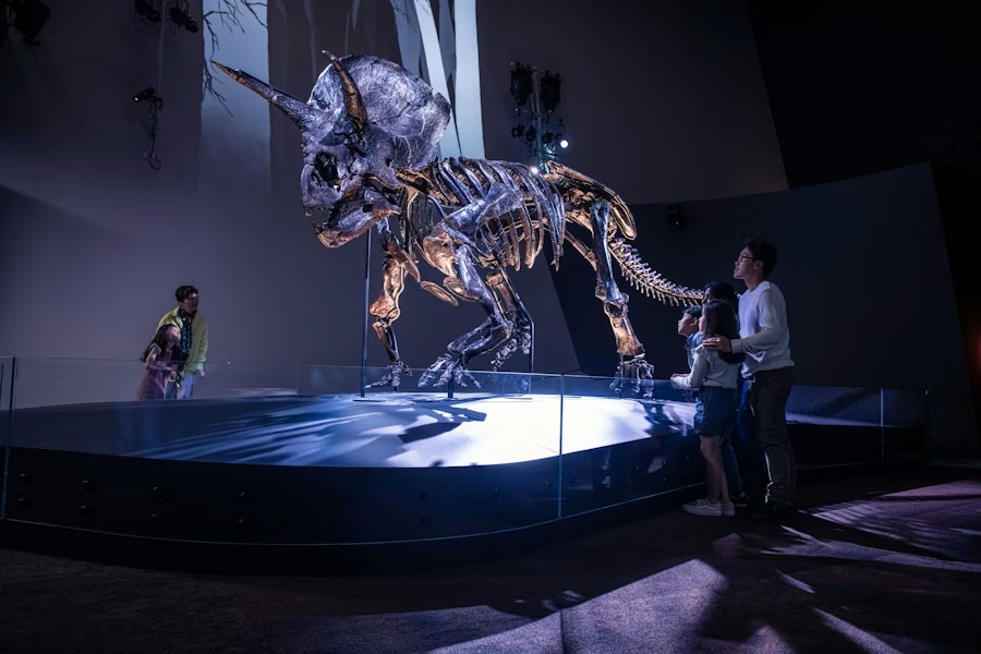 Guided Visit: Melbourne Museum