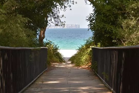 🌊 Jervis Bay Adventure: Dolphin Cruise & Day Tour