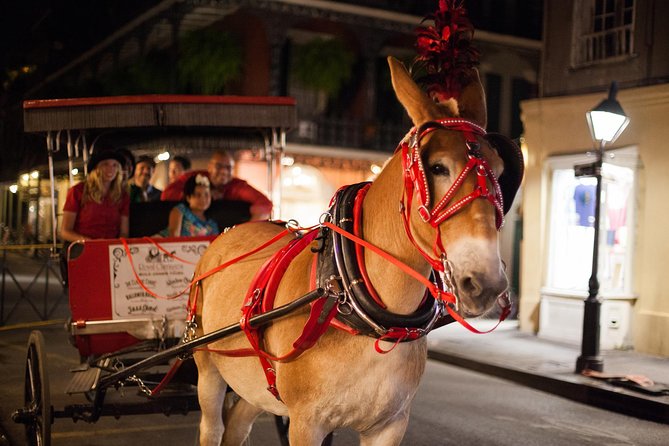 New Orleans Haunted History Horse Carriage Tour