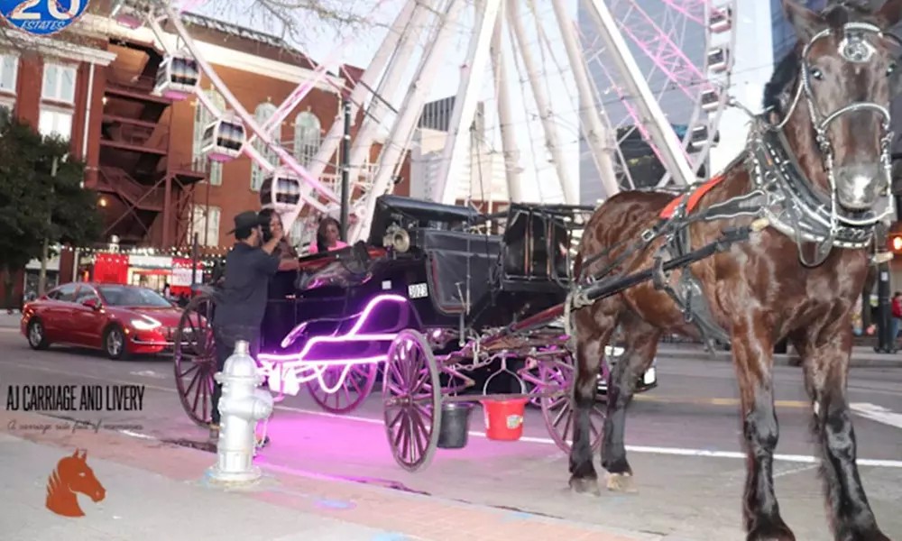 Up to 20% Off Horse-Drawn Carriage Ride at AJ Carriage & Livery