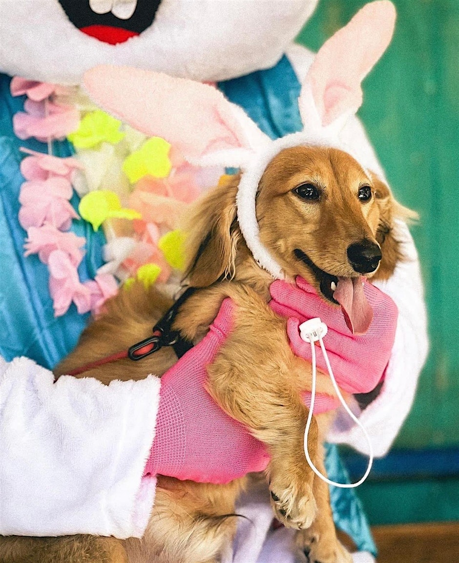 Palm House's Annual Peep & Pups Doggy Brunch