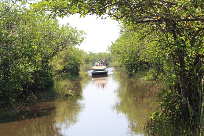 Miami City Tour with Everglades Adventure