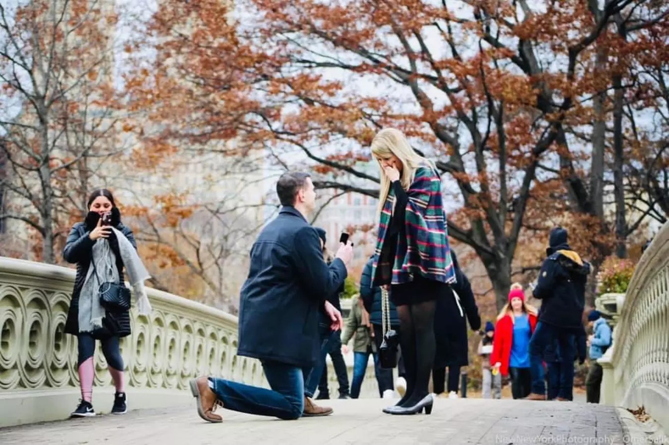 Romance in Motion: VIP Central Park Surprise Proposal Carriage Ride — Save 28%