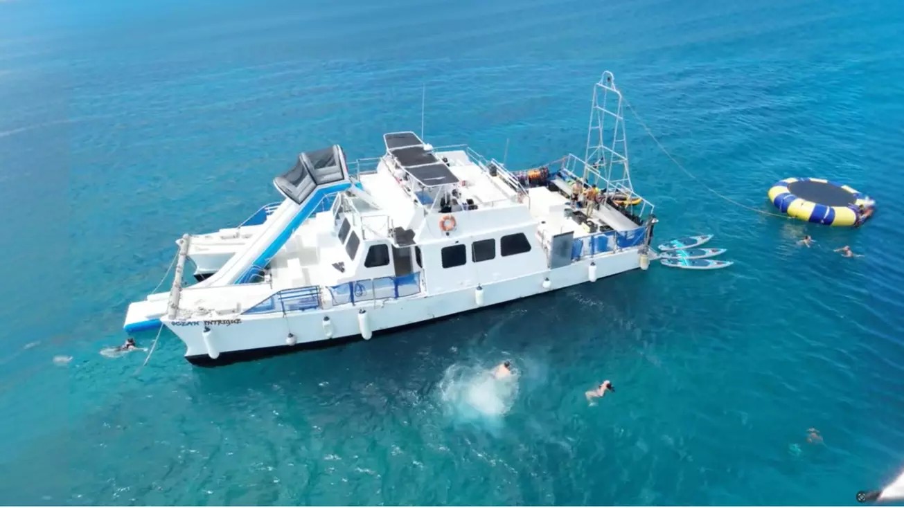 Snorkel with Turtles: 3-Hour Trip with Gear & Optional Water Sports Package