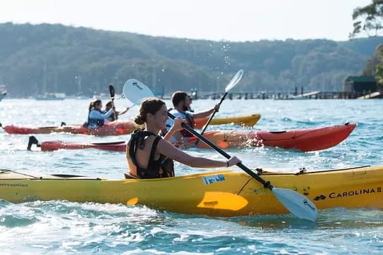 Guided Pittwater Discovery Kayaking Experience