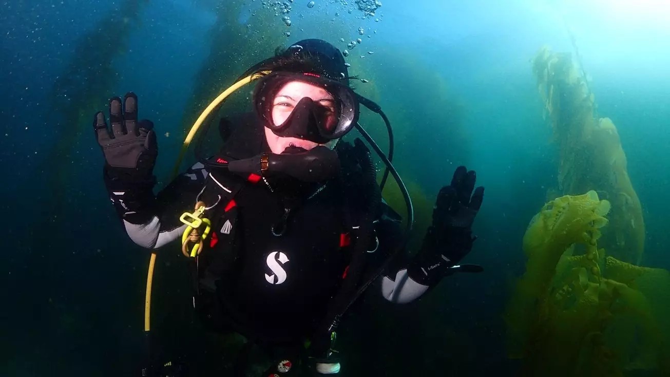 Make a Splash: Up to 50% Off Blue Holic Scuba’s Entry-Level PADI Programs