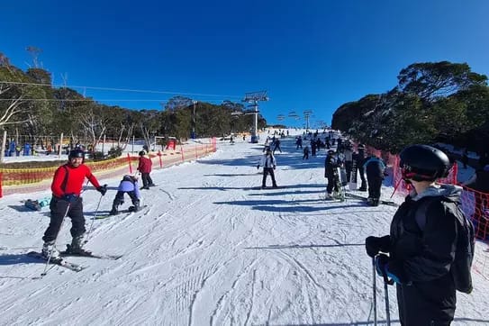 Mount Buller Escape: Day Tour from Melbourne