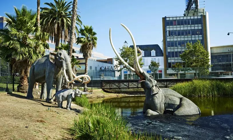 Discover LA’s Ancient Past – Visit The La Brea Tar Pits & Museum