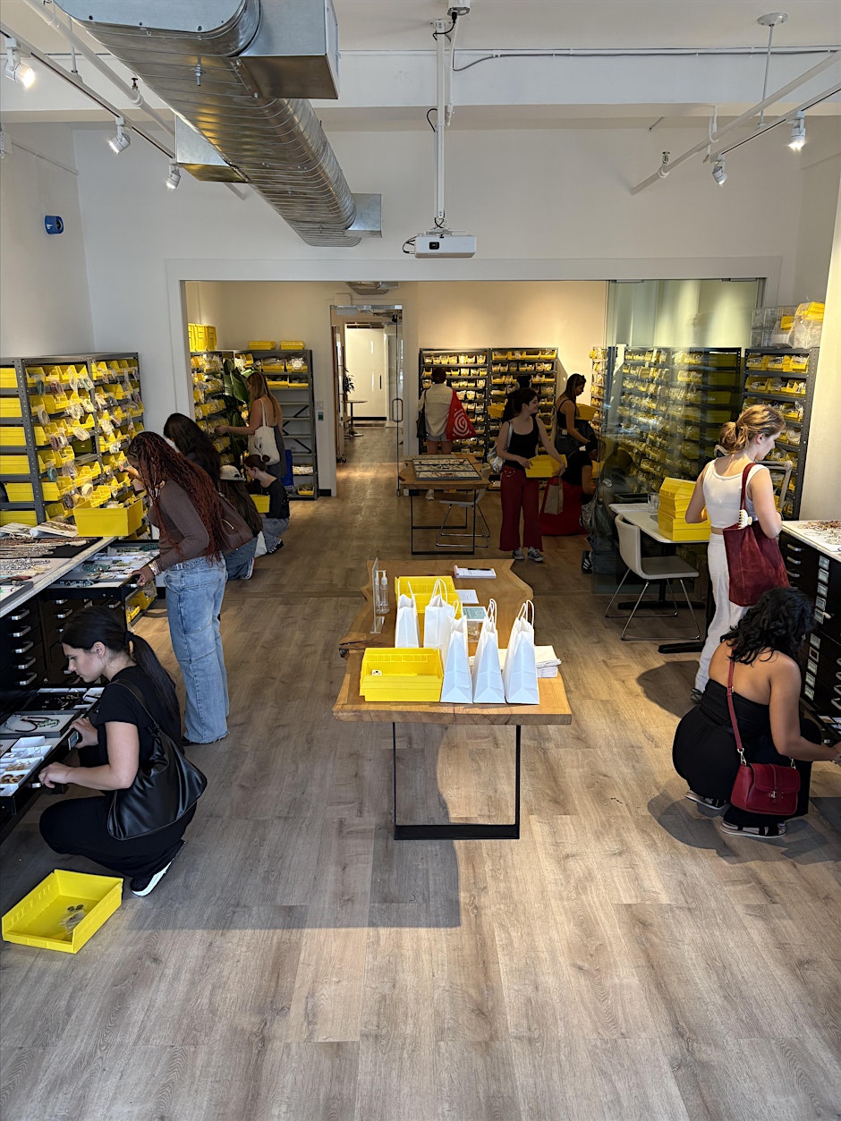 Everri Fall/Winter Sample Sale