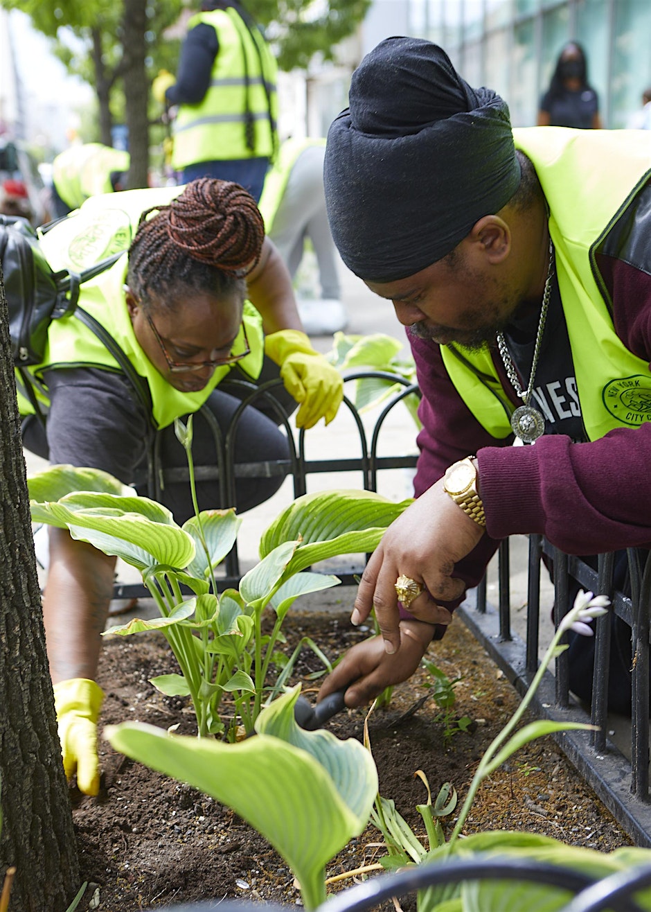Street Tree Care w/ NYRP Herb Garden