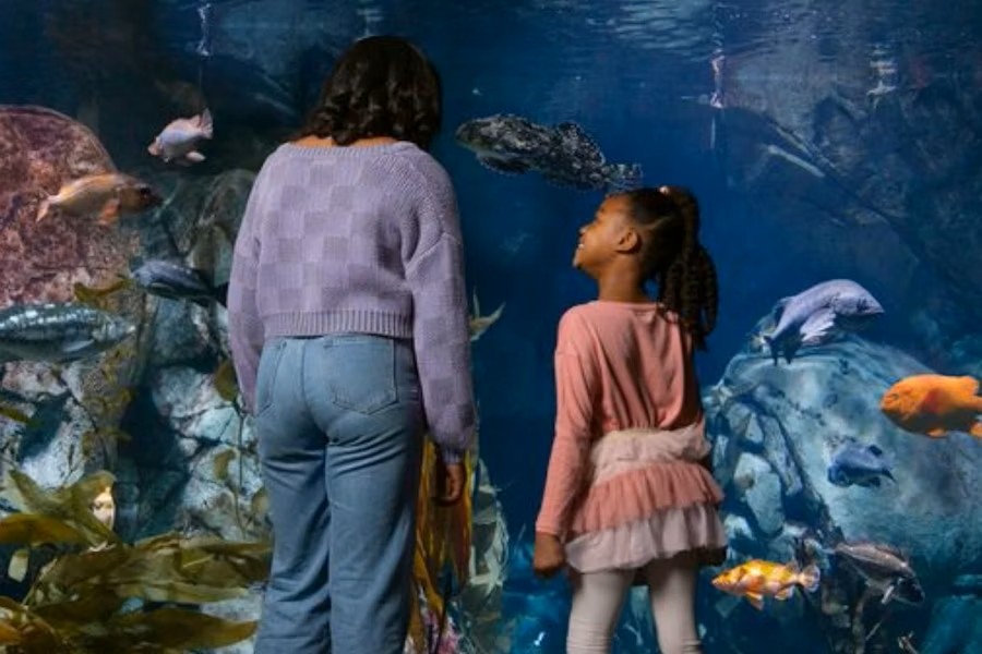 Los Angeles Aquarium of the Pacific General Entry