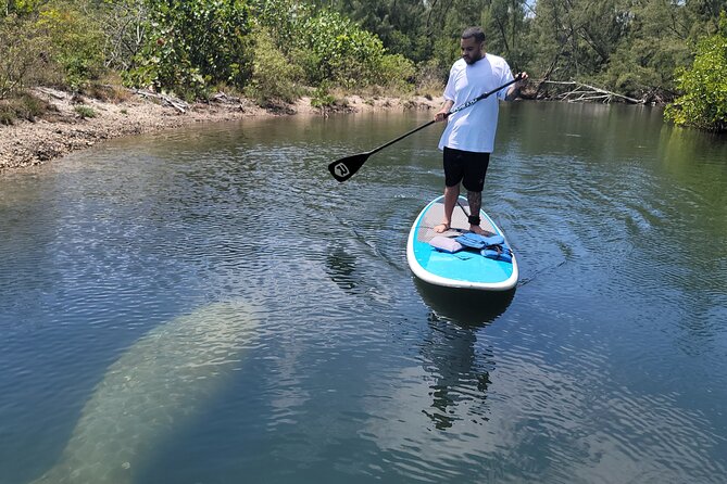 Mangrove Paddleboarding Adventure in Miami