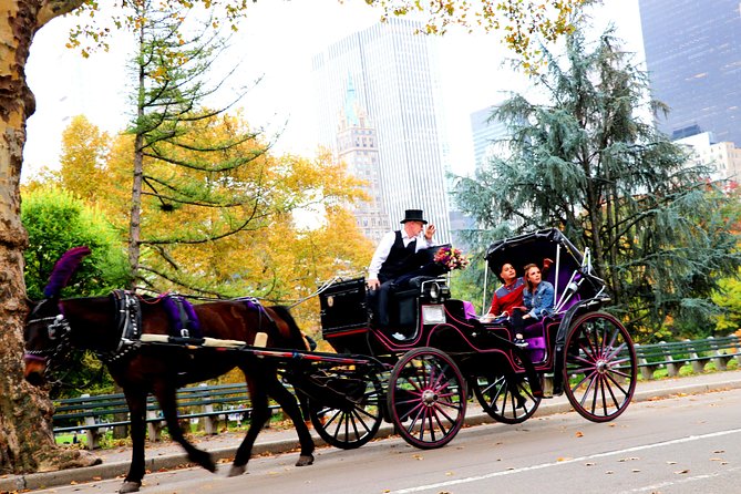 Central Park Horse-Drawn Carriage Tour