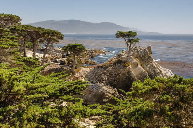 Monterey & Carmel-by-the-Sea Day Trip from San Francisco