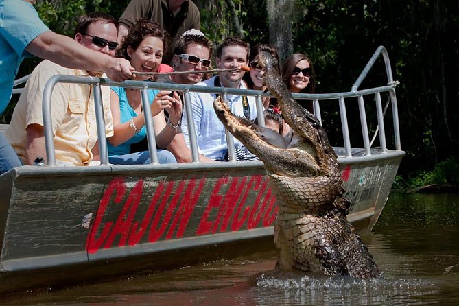 Explore Honey Island Swamp – New Orleans Swamp Tour