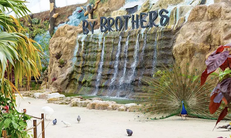 Farm Fun Awaits – Up to 43% Off Tours at By Brothers