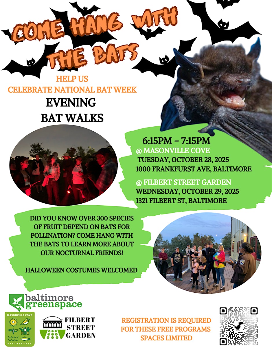Bat Walk