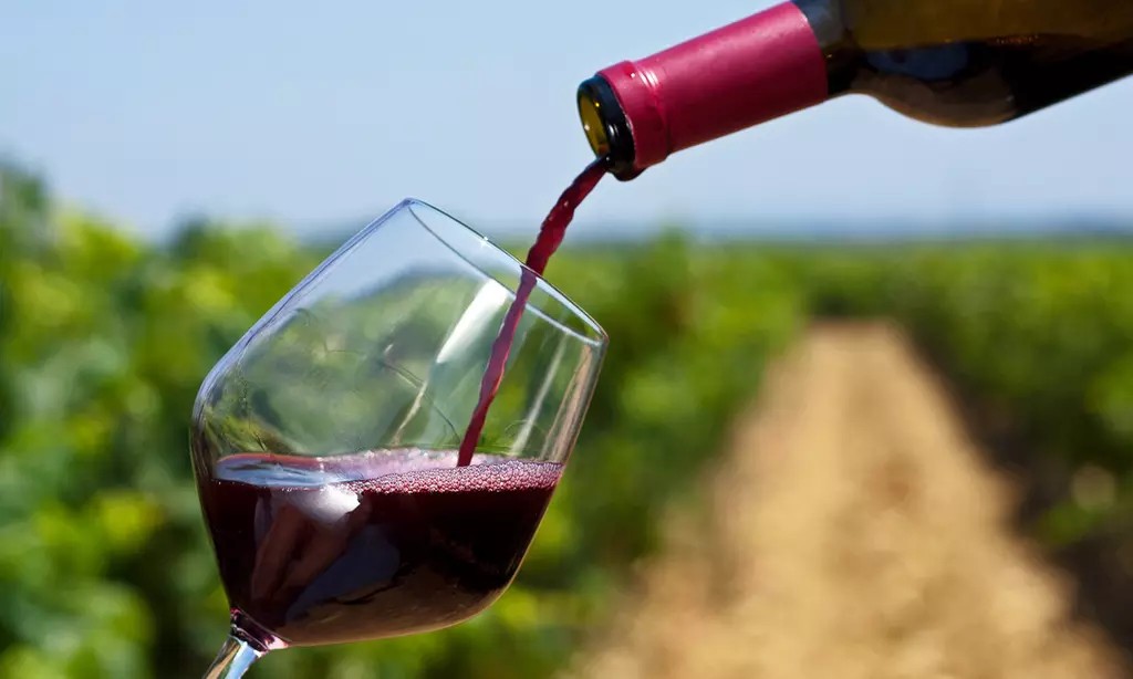 Wine 101: Tasting Experience for Two or Four at House Wine – Up to 55% Off