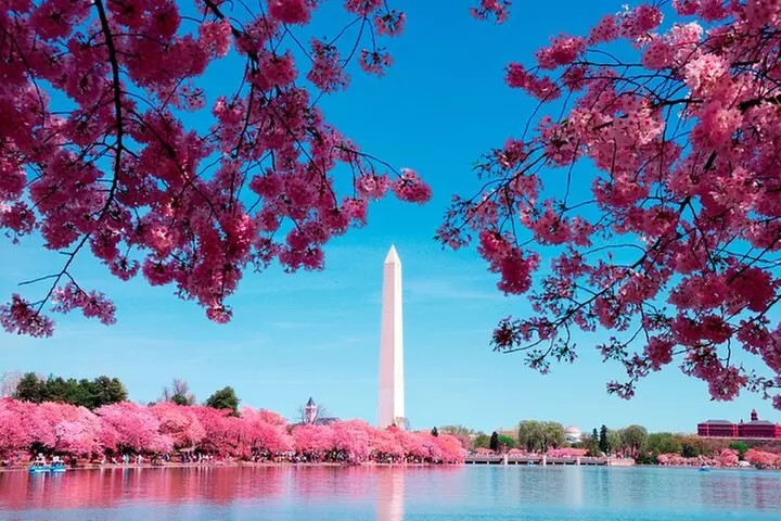 Washington DC: National Mall & Monuments Tour