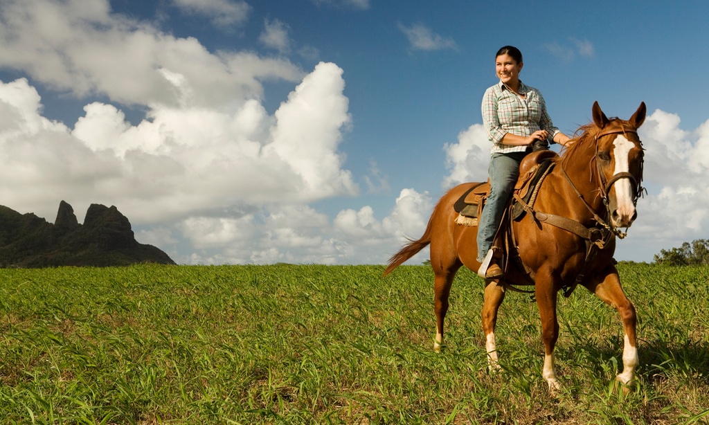 Gallop & Save: Up to 20% Off Horseback Riding at AJ Carriage & Livery