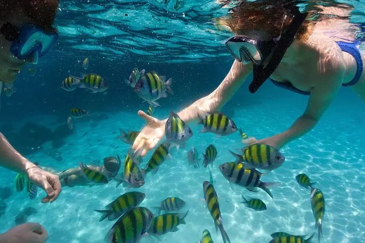 Key West Day Trip from Miami – Customize Your Adventure!