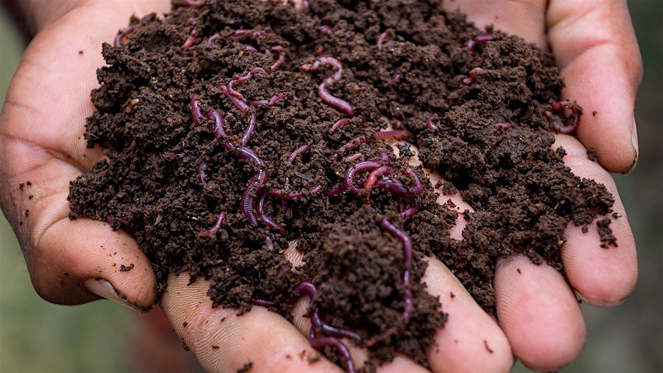 Workshop: Composting 101 (Los Angeles)