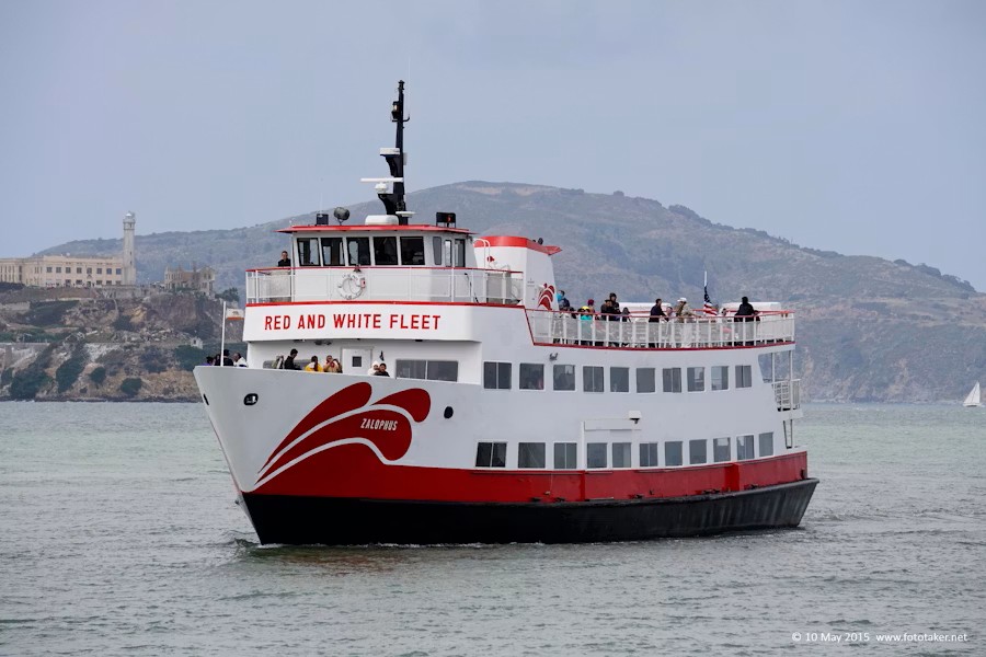 San Francisco Bay Bridges Cruise – Scenic Boat Tour with Waterfront Views
