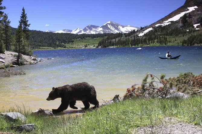 Small Group Tour to Yosemite National Park from San Francisco