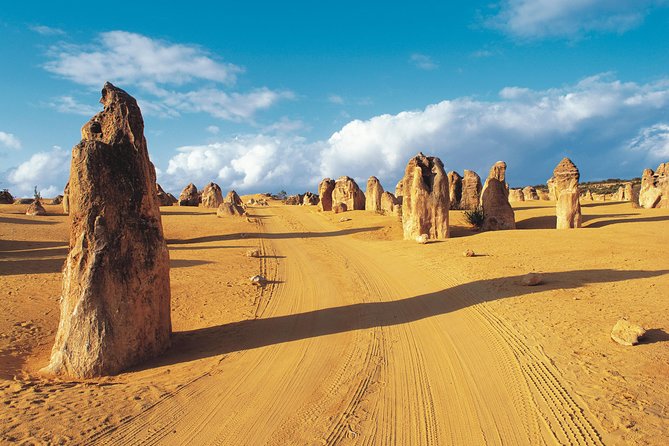 Pinnacles Desert, Koalas & Sandboarding Full-Day Adventure from Perth