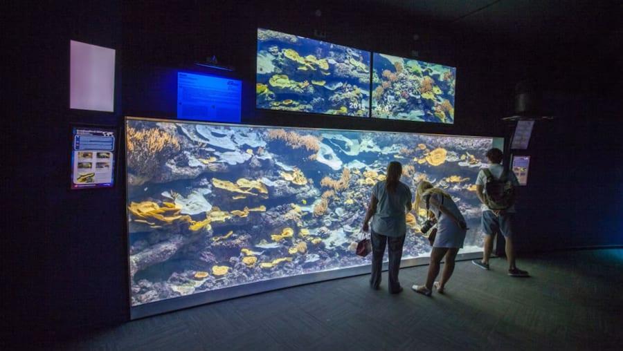 Aquarium of Paris Tickets – Explore Marine Life in the Heart of Paris