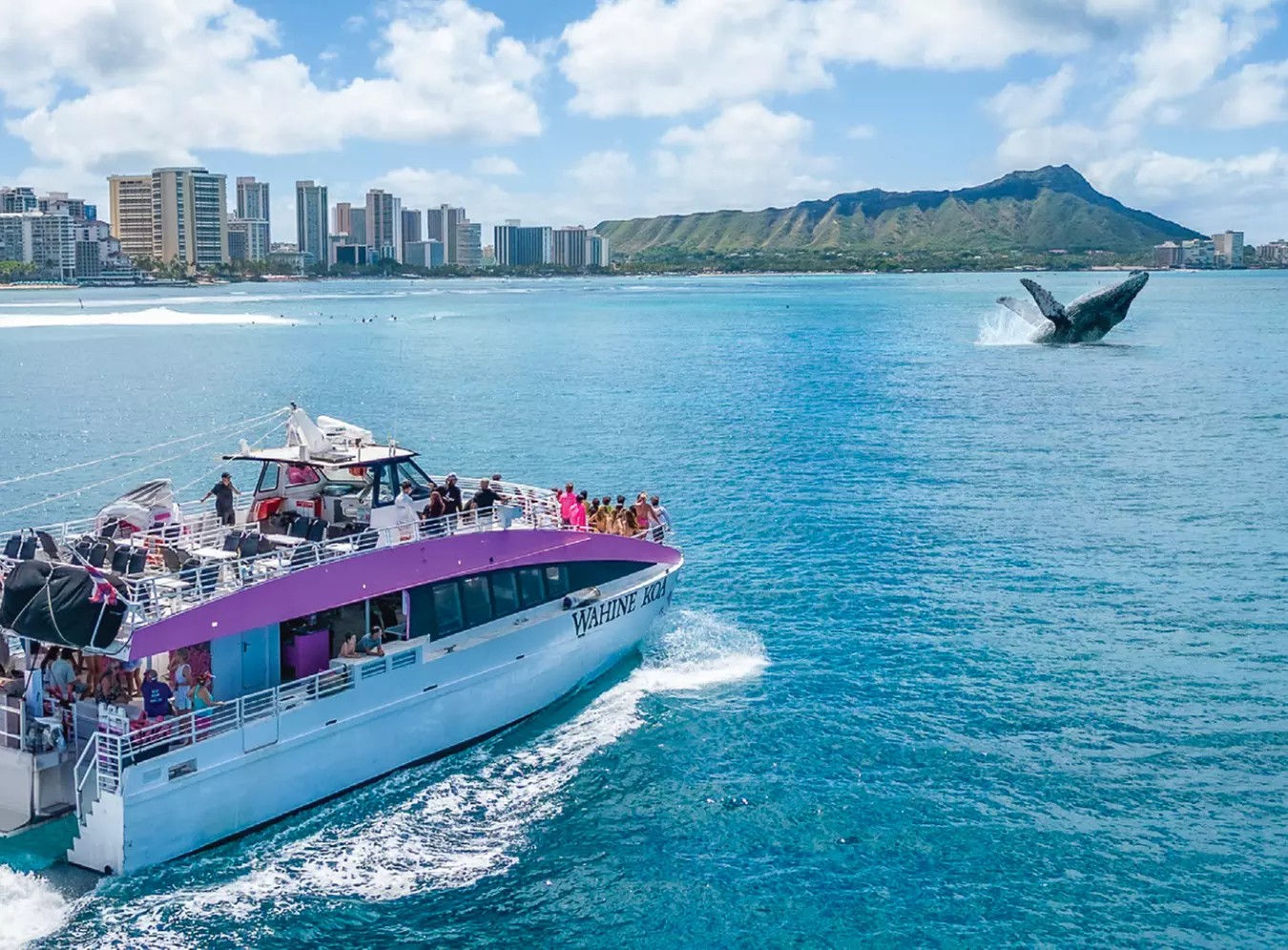 Spot Majestic Whales: 2-Hour Cruise for Up to Four with Waikiki Snorkel Company
