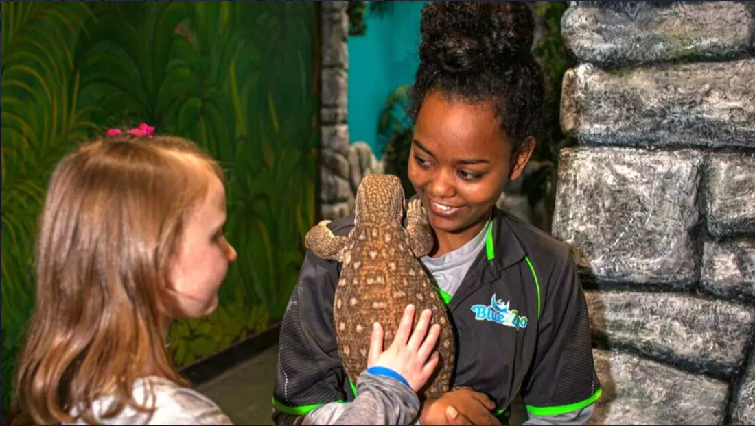 Blue Zoo OKC Tickets: Interactive Aquarium Experience for All Ages