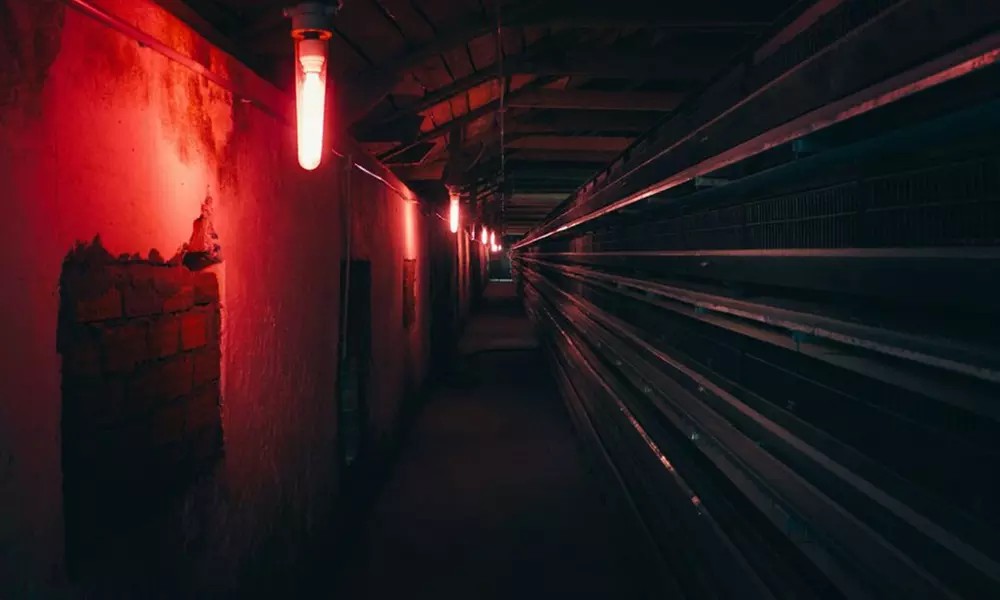 Step Into the Dark: Blackout Experience for 2–4 at Brainy Actz – San Diego